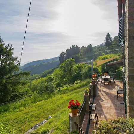 Casa Serena Petrognano  Zewnętrze zdjęcie