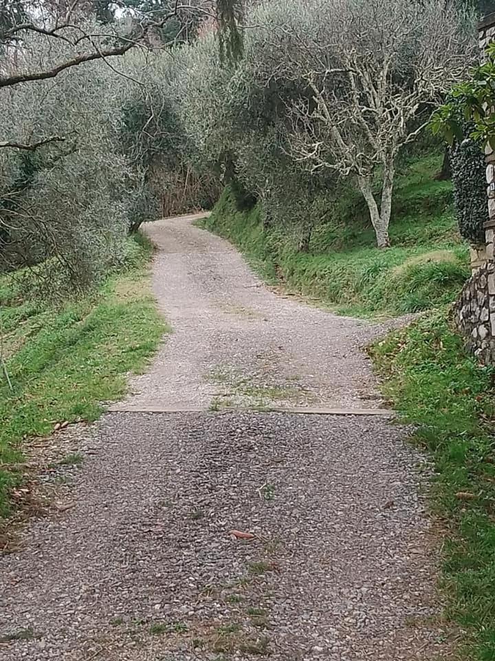 Casa Serena Petrognano  Zewnętrze zdjęcie